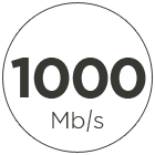 1000 Mbps internet